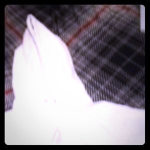 White champion hoodie Small